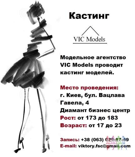 Кастинг в модельное агентство VIC Models, Кастинг моделей
