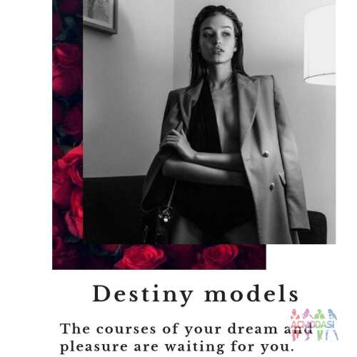 Destiny models(модельные курсы )