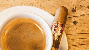 Модель для зйомки відео