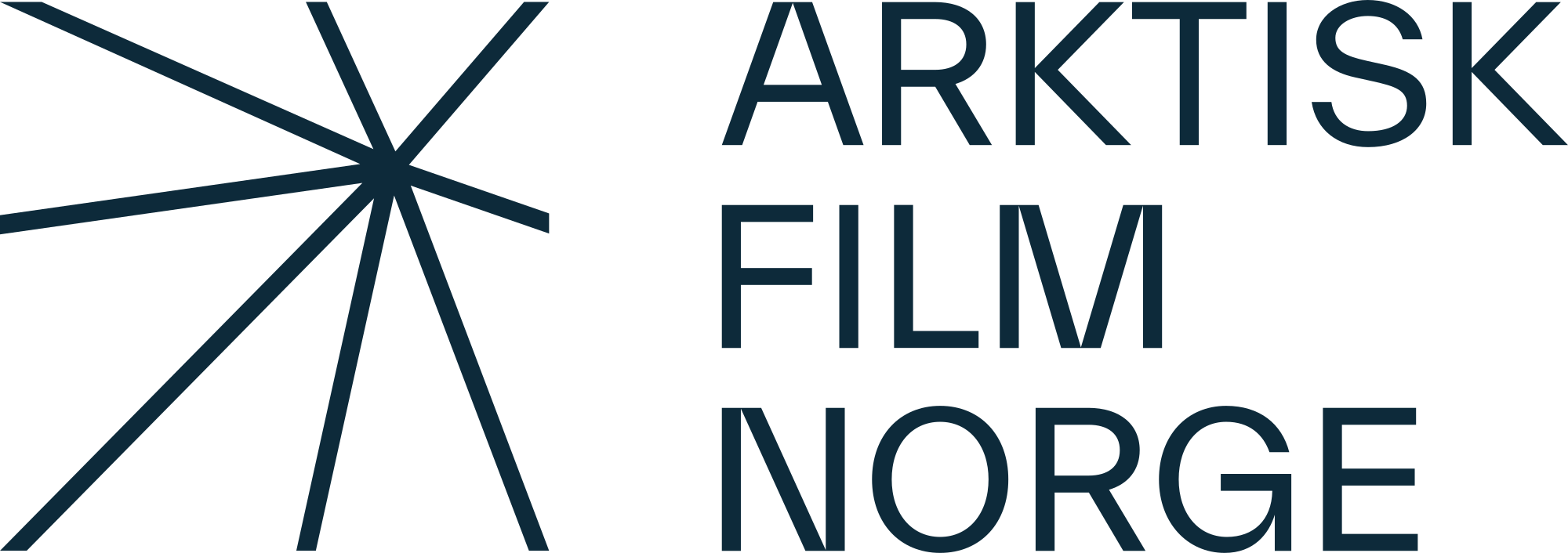 Arctic Film Norway Logo