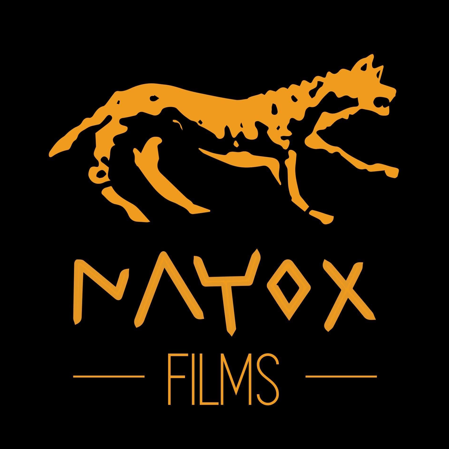 Nayox Films Logo