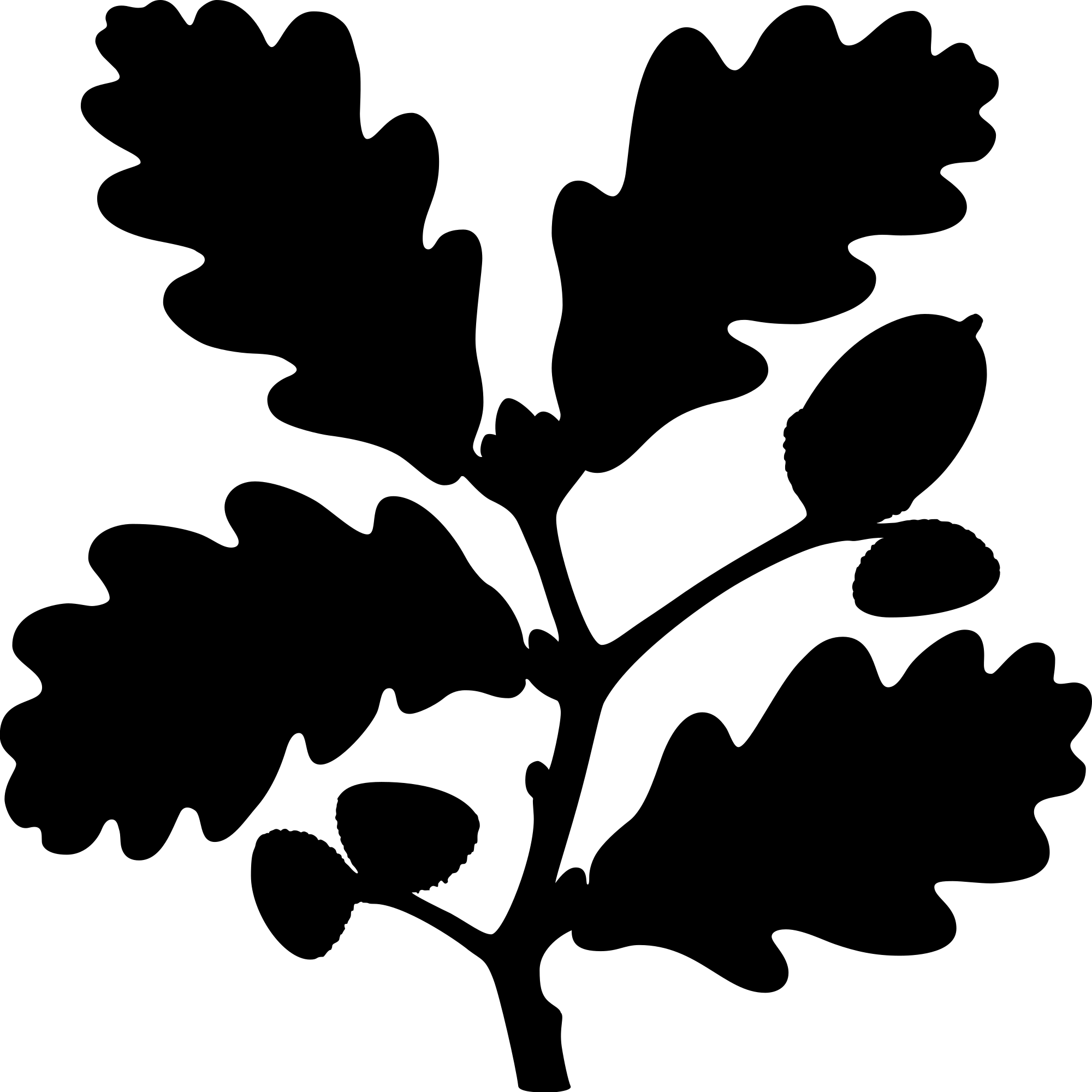National Trust Logo