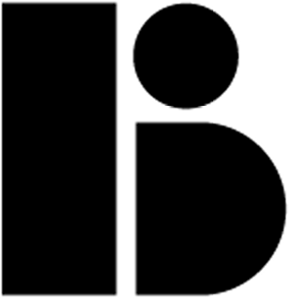 The Blue Studio Logo