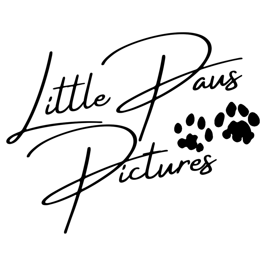 Little Paws Pictures Logo