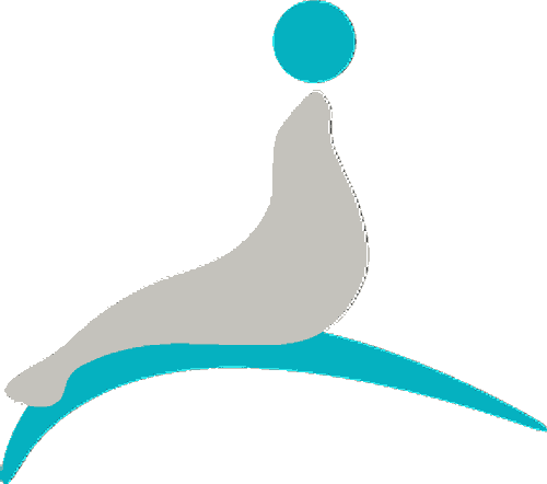 Ronachan Films Logo