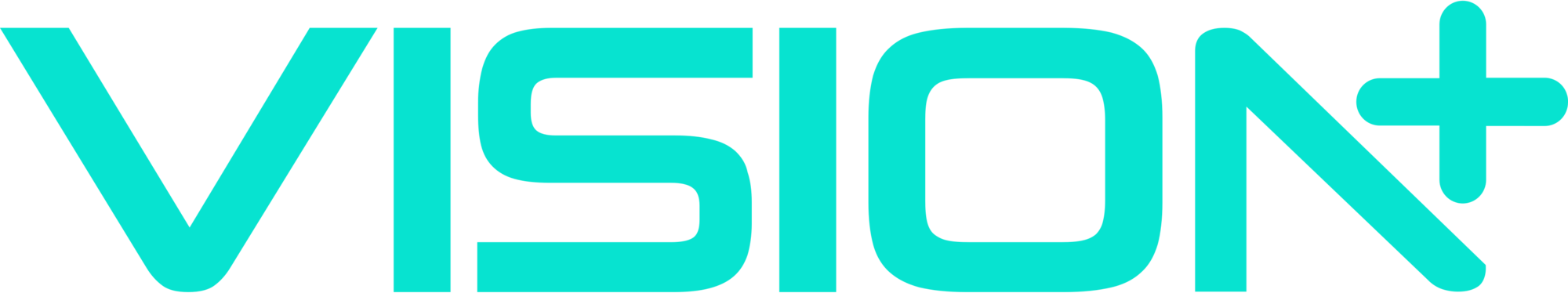 Vision+ Logo