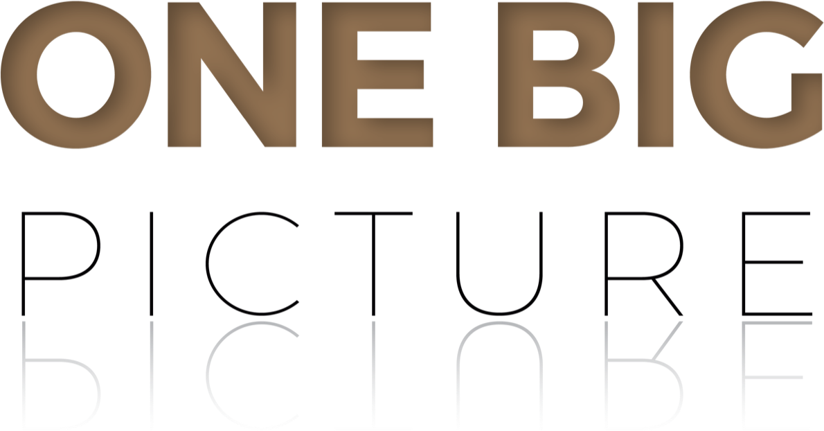 One Big Picture Logo
