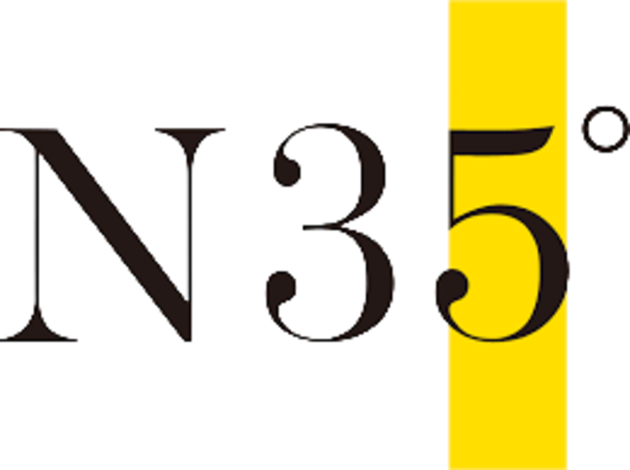 N35 Logo