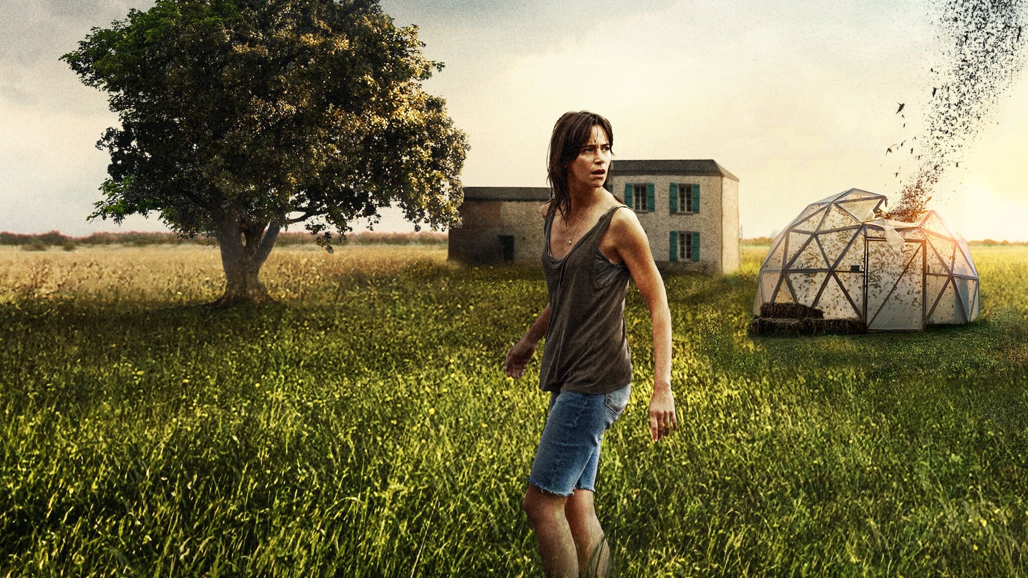 Відео до фільму Рій | The Swarm | Official Trailer | Netflix