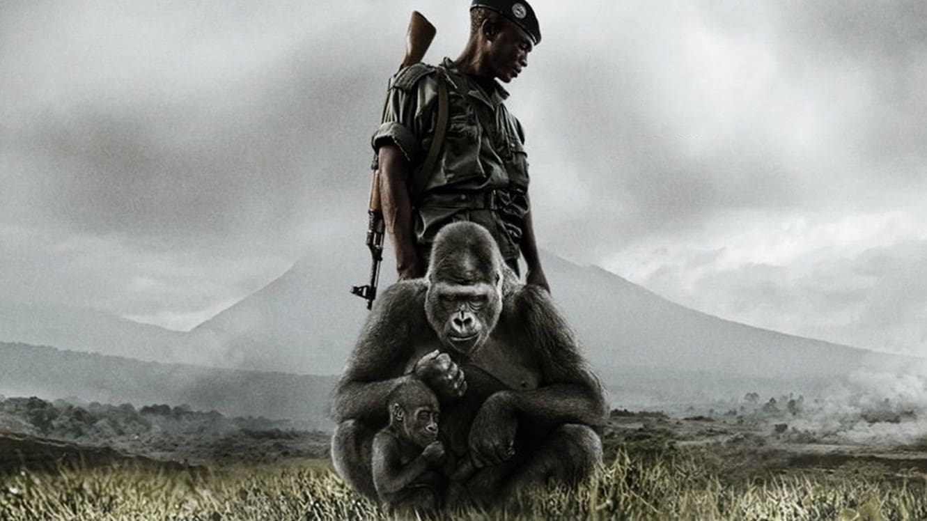 Відео до фільму Вірунґа | Virunga Movie - Official Trailer