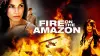 Fire on the Amazon