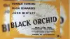 Black Orchid