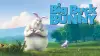 Big Buck Bunny