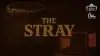 The Stray