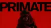 Примат