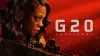 G20