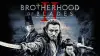 Brotherhood of Blades II: The Infernal Battlefield