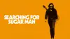 У пошуках Цукрової Людини