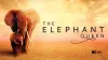 Королева слонів