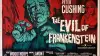 The Evil of Frankenstein