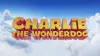 Charlie the Wonderdog
