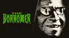 The Borrower