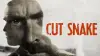Cut Snake