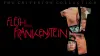 Плоть Франкенштейна