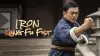 Iron Kung Fu Fist