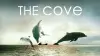 The Cove