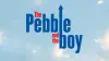 The Pebble and the Boy