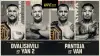 UFC 323: Dvalishvili vs. Yan 2
