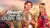 Hearts Under the Olive Tree