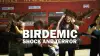Birdemic: Shock and Terror