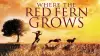 Where the Red Fern Grows