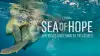 Sea of Hope: America's Underwater Treasures