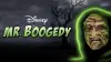 Mr. Boogedy
