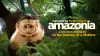 Amazonia