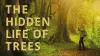 The Hidden Life of Trees