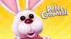 Here Comes Peter Cottontail