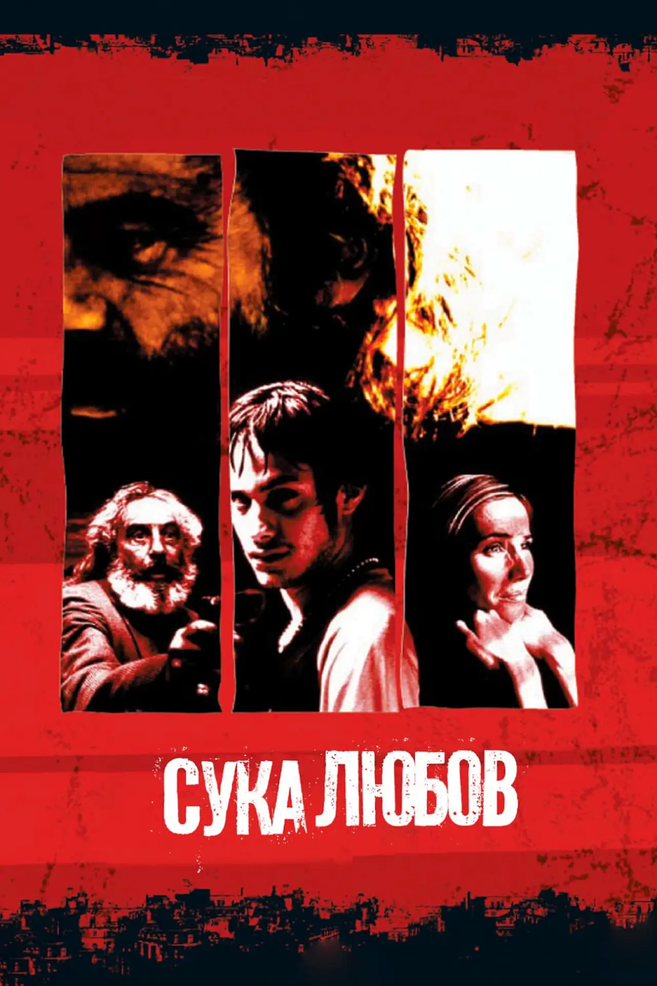 Постер до фільму "Сука любов"