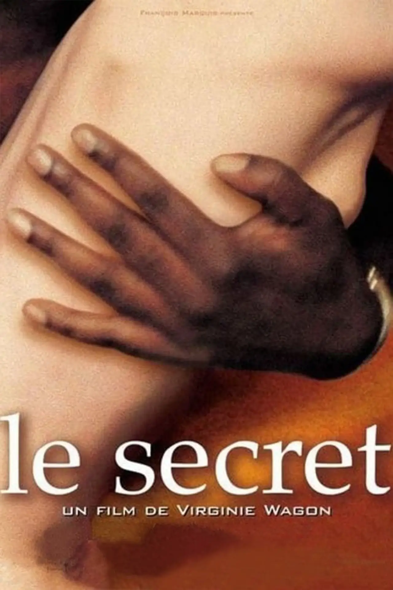 Постер до фільму "Le Secret"