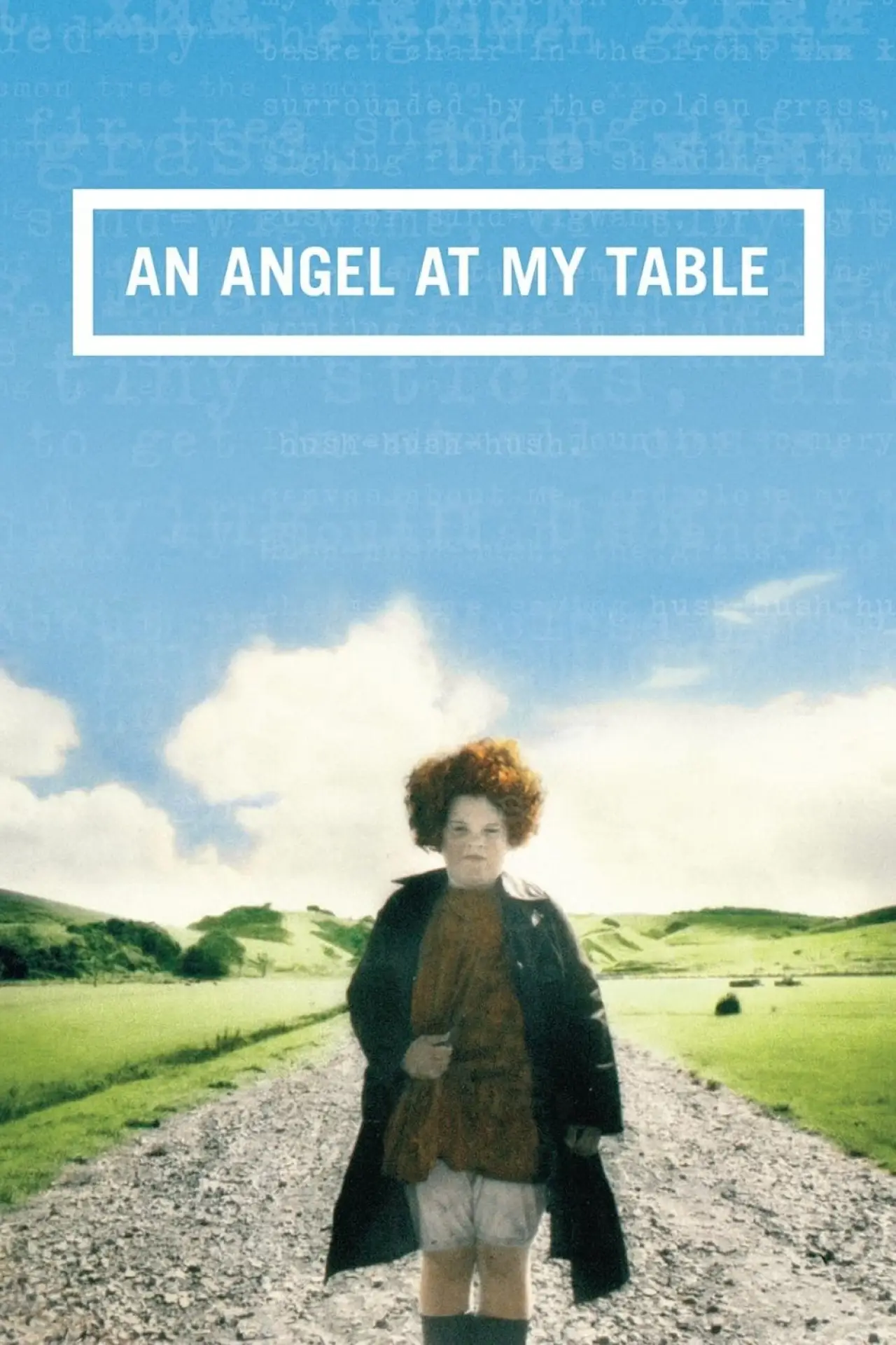 Постер до фільму "An Angel at My Table"