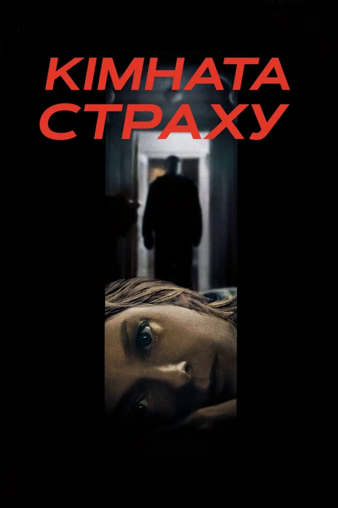 Постер до фільму "Кімната страху"
