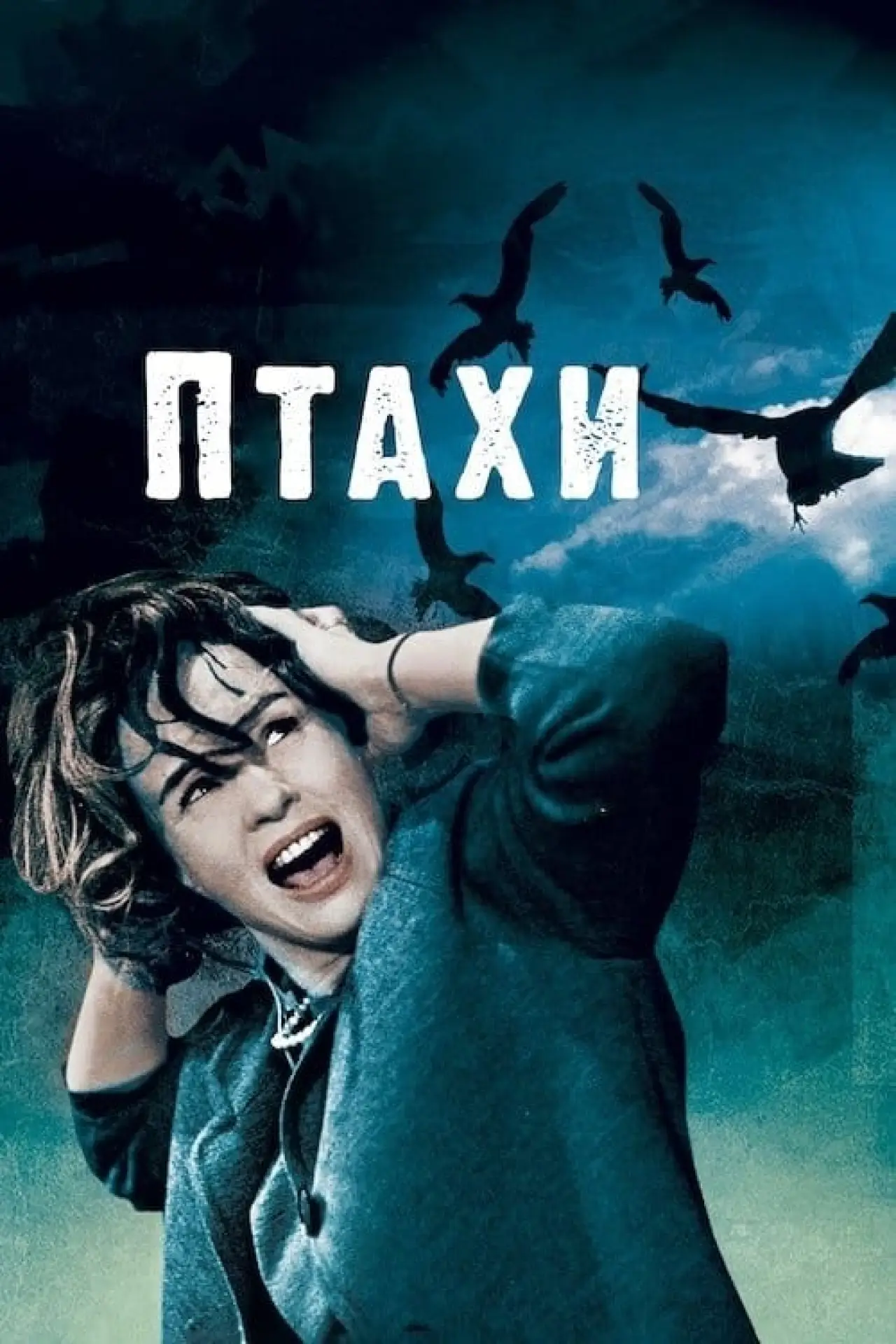 Постер до фільму "Птахи"