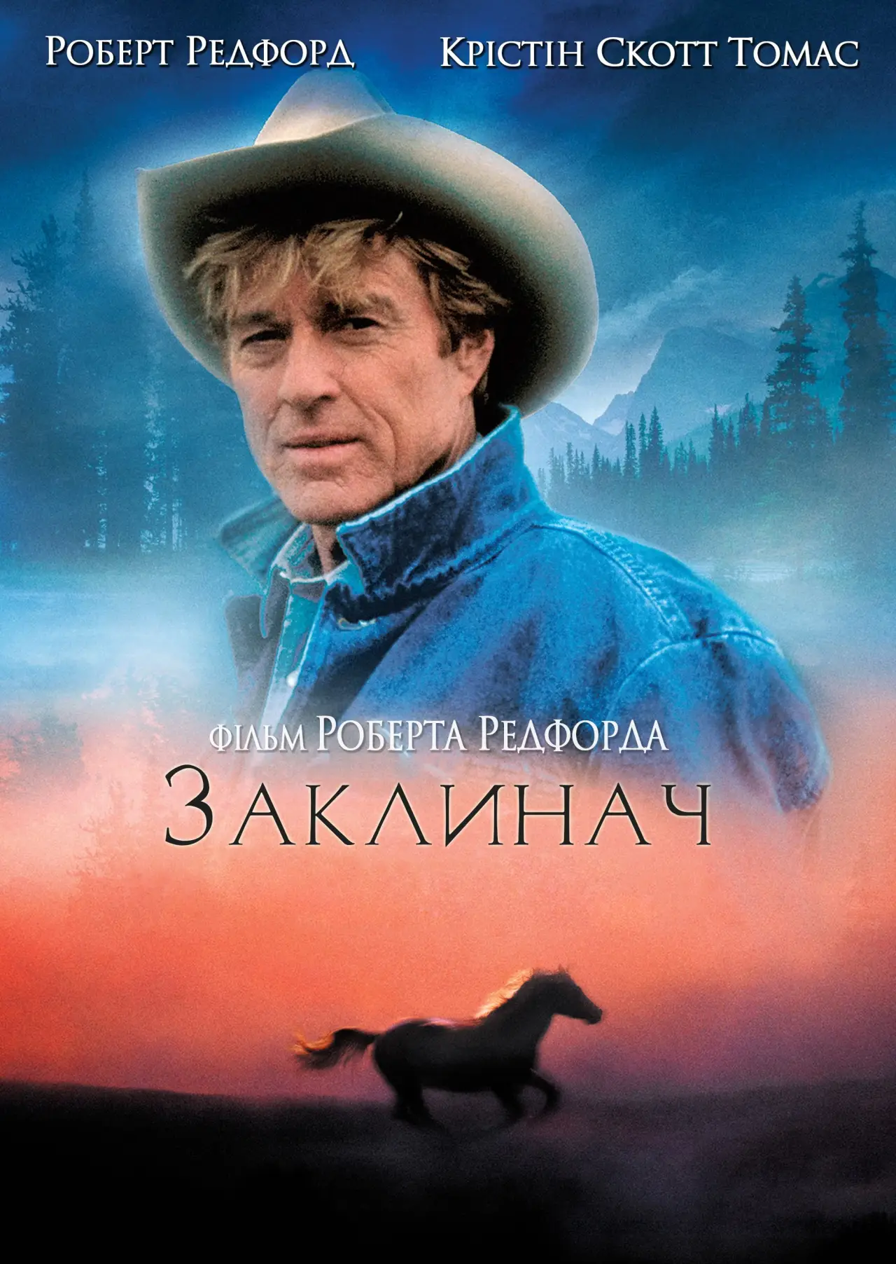 Постер до фільму "Заклинач"
