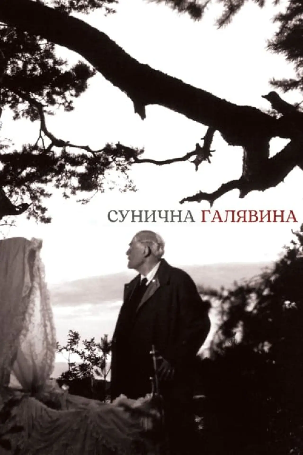 Постер до фільму "Сунична галявина"