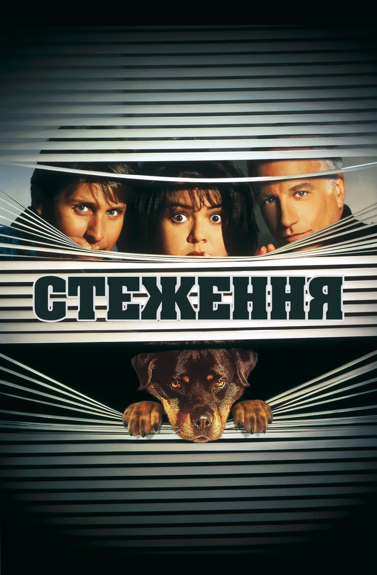Постер до фільму "Стеження 2"