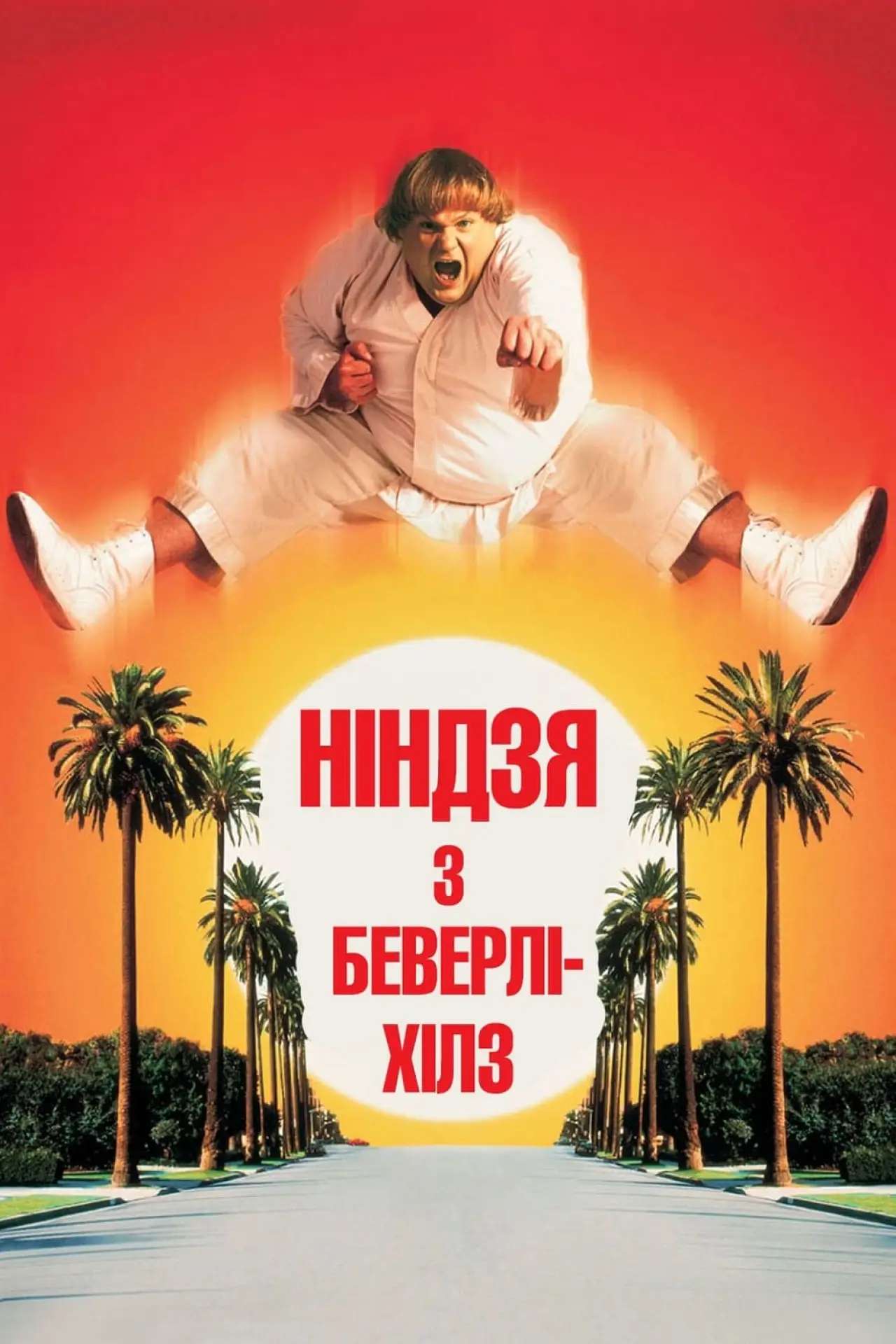 Постер до фільму "Ніндзя з Беверлі-Хілз"