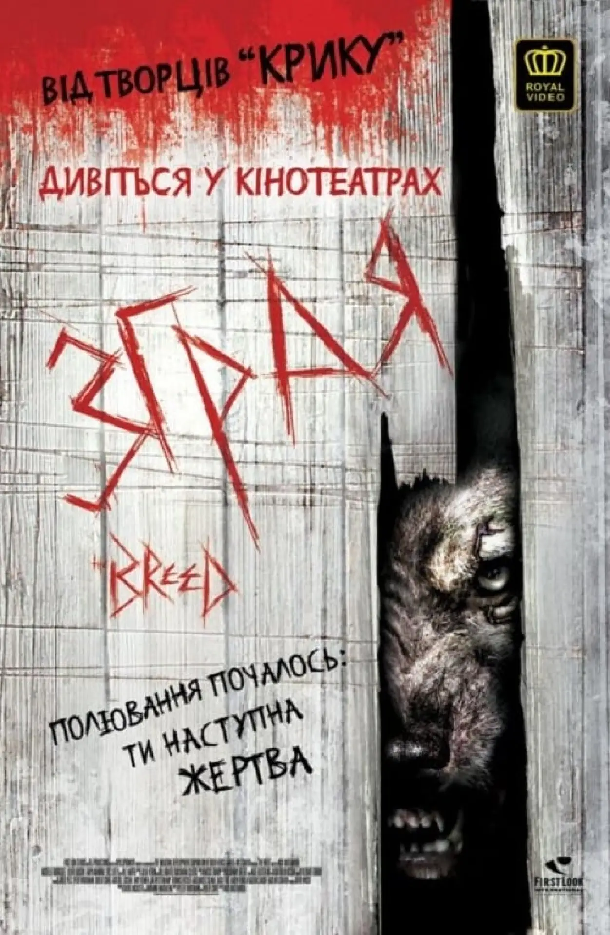 Постер до фільму "Зграя"